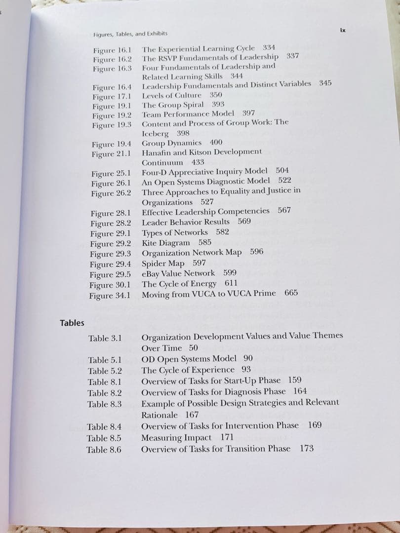 【ほぼ未使用・美品】NTL組織開発と変革ハンドブック英語版 専門書Wiley出版