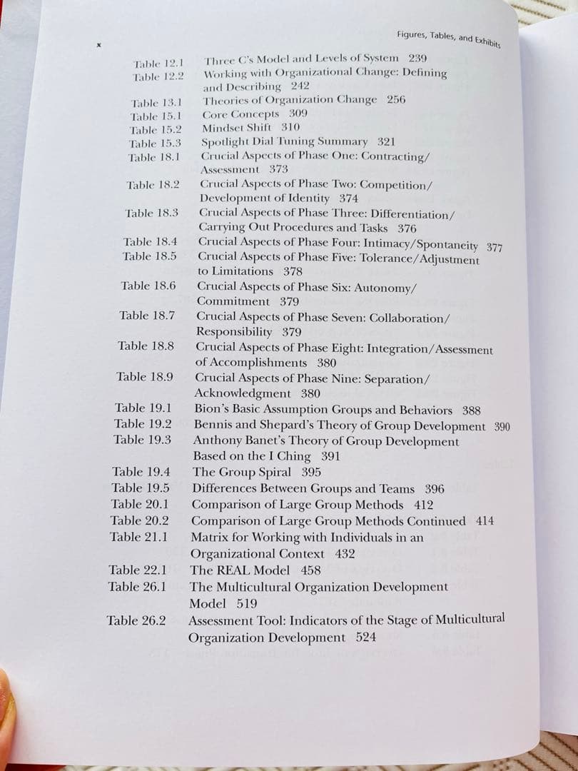 【ほぼ未使用・美品】NTL組織開発と変革ハンドブック英語版 専門書Wiley出版