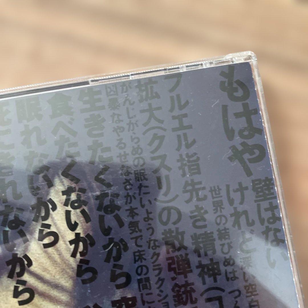 希少　ガセネタ　SOONER OR LATER cd