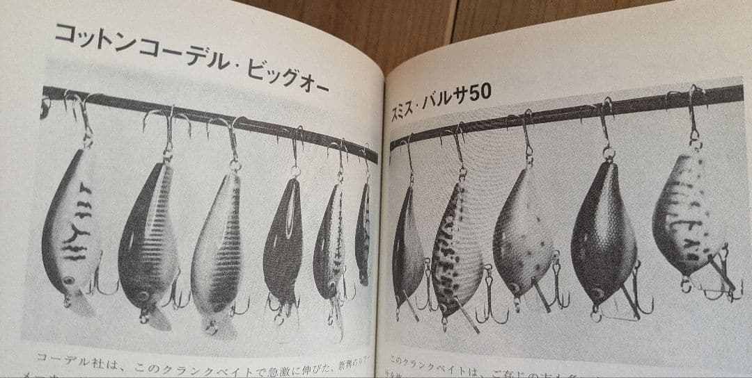 ブラックバス釣りの楽しみ方（バルサ50 トップウォーター バスフィッシング）