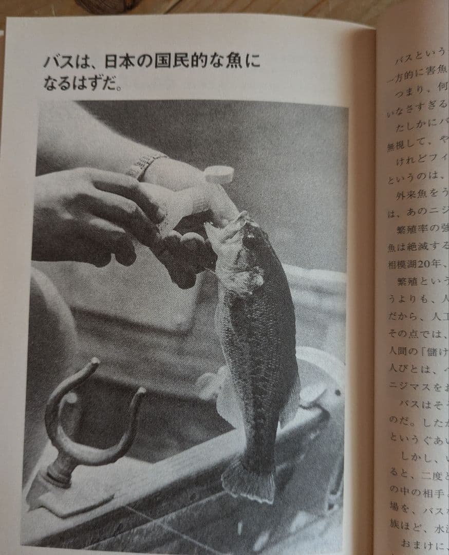 ブラックバス釣りの楽しみ方（バルサ50 トップウォーター バスフィッシング）