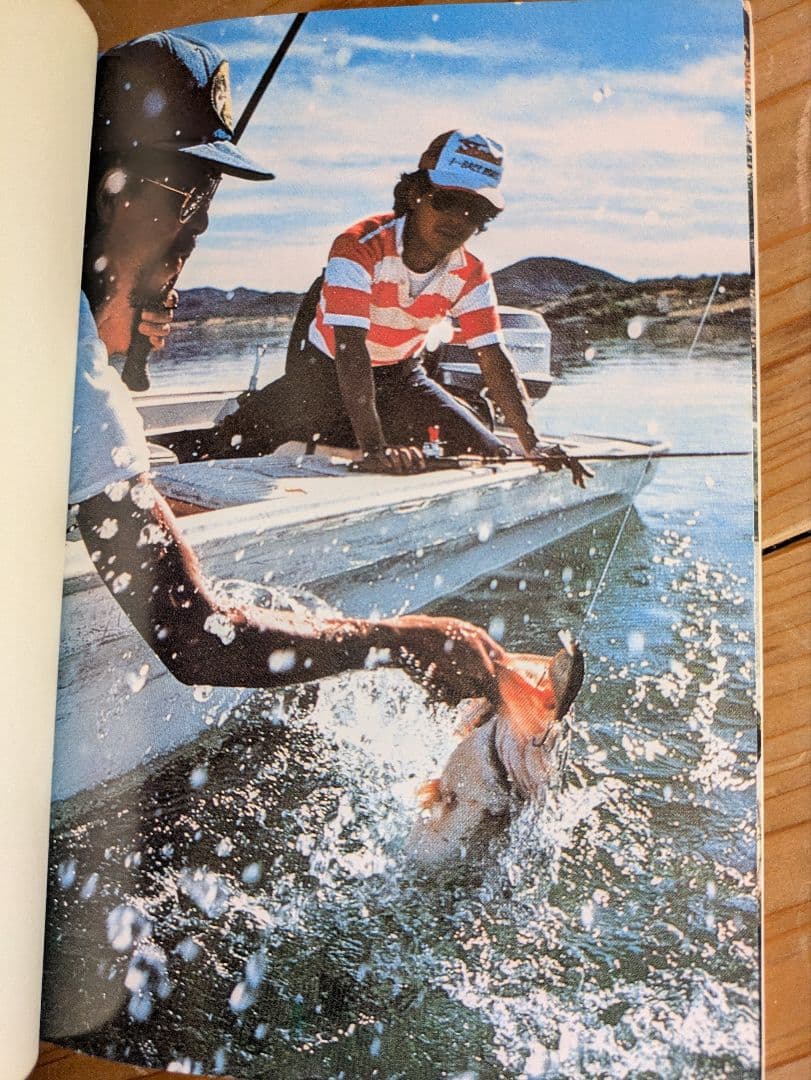 ブラックバス釣りの楽しみ方（バルサ50 トップウォーター バスフィッシング）