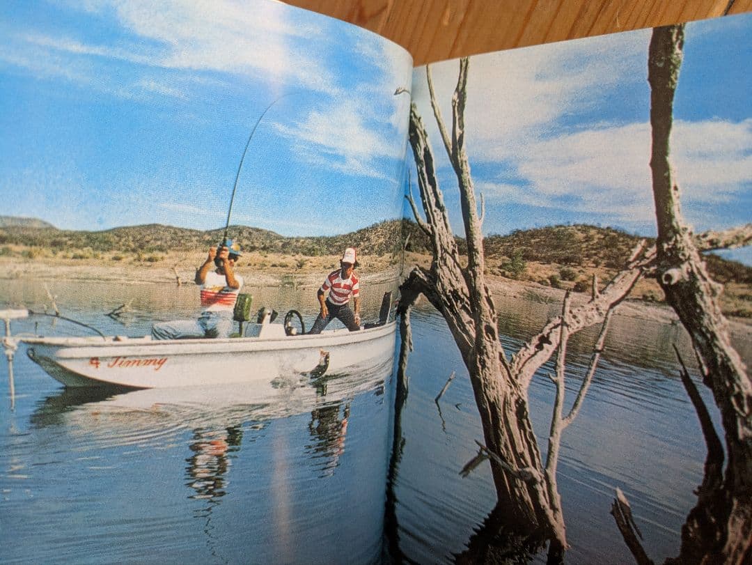 ブラックバス釣りの楽しみ方（バルサ50 トップウォーター バスフィッシング）