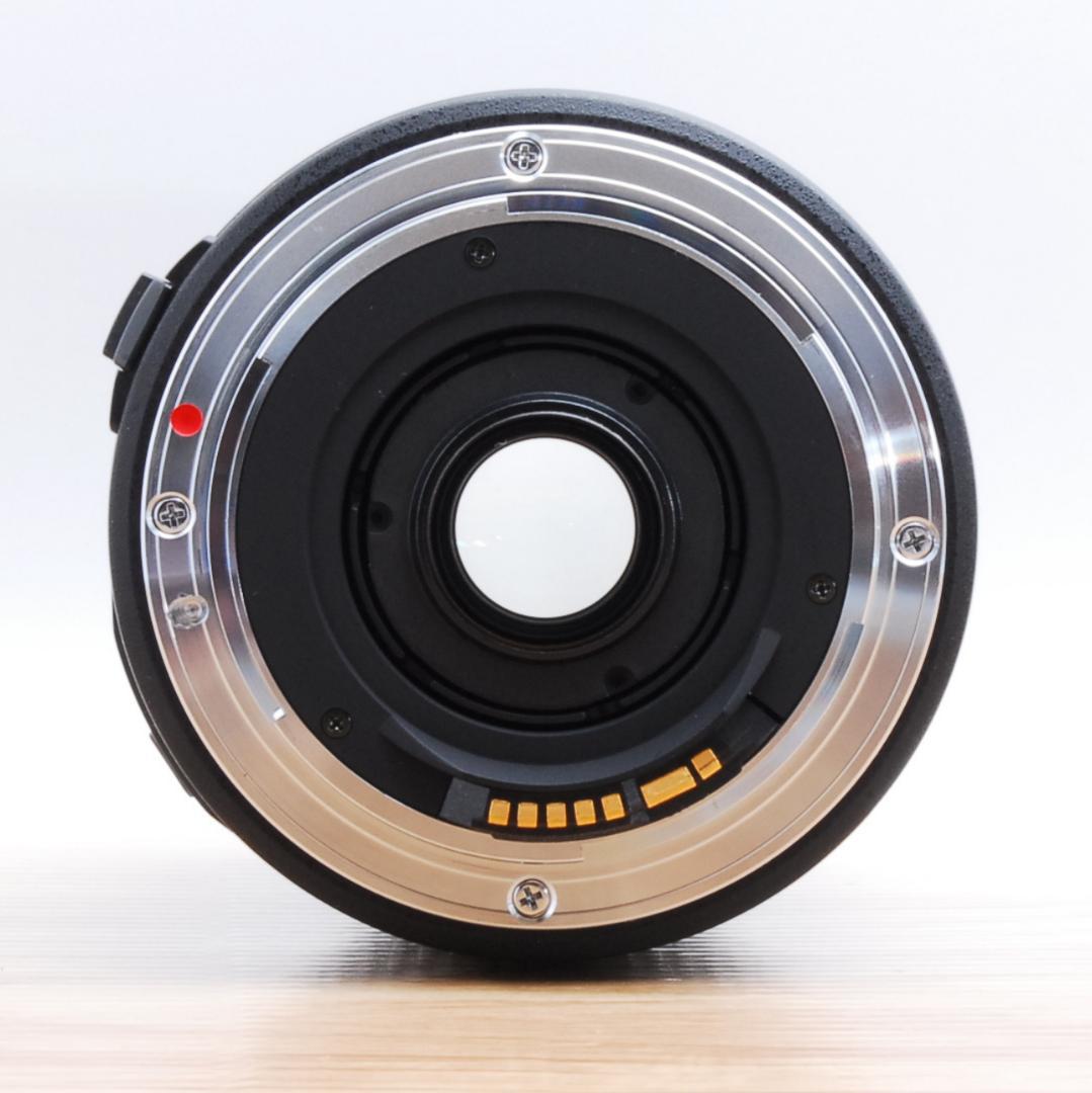 ⭐️これ一本でOK♪⭐️SIGMA 28-300mm F3.6-6.3 EF