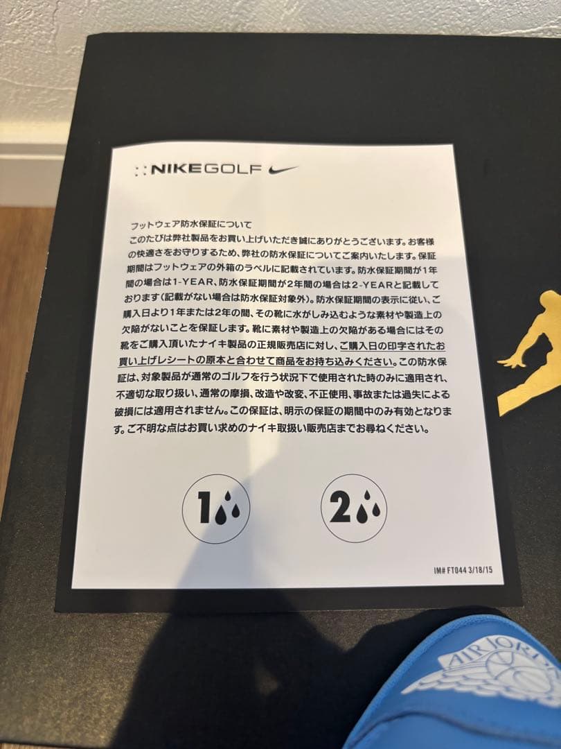 シューズ(男性用) AIR JORDAN 1 LOW GOLF UNC