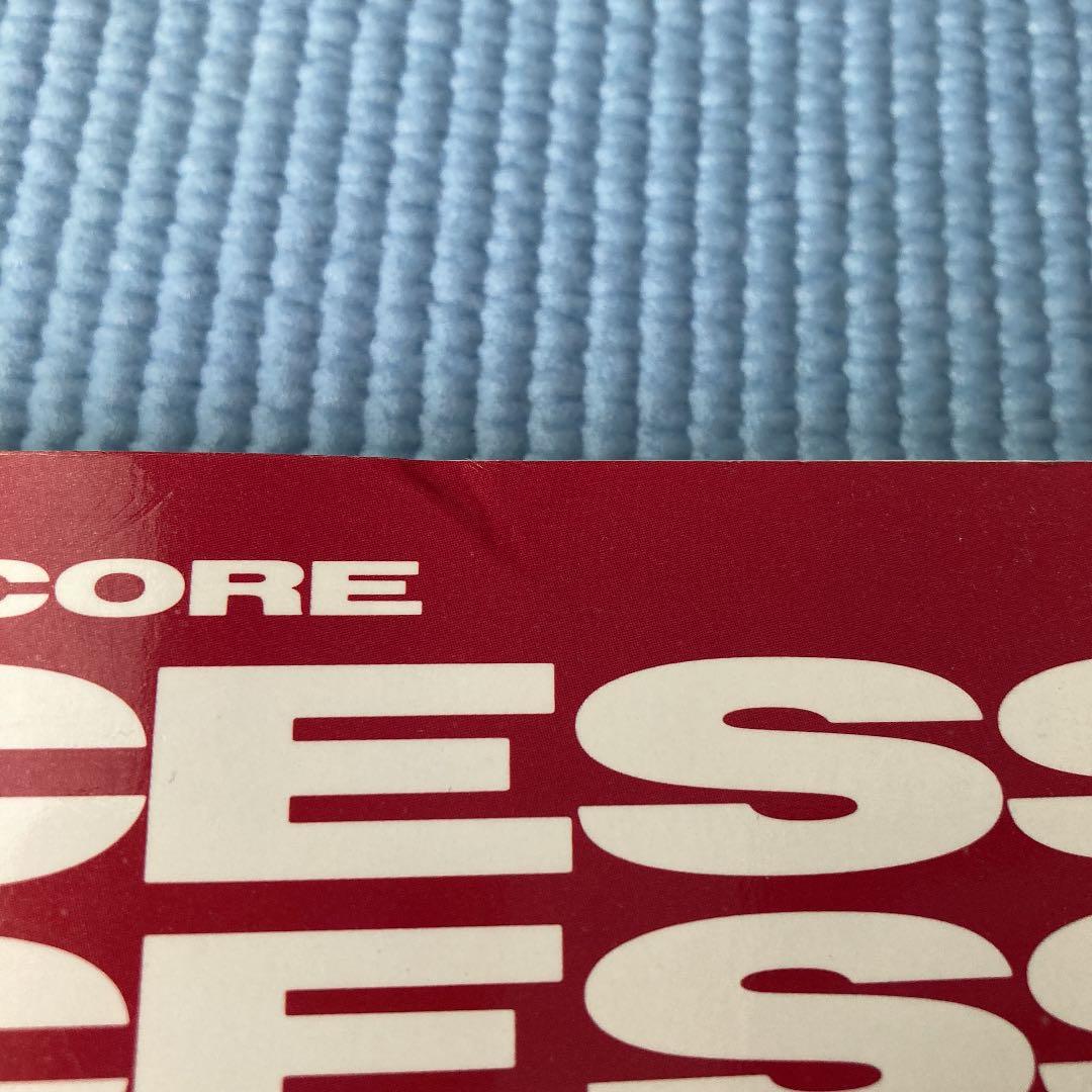 美品　PRINCESS PRINCESS バンドスコア