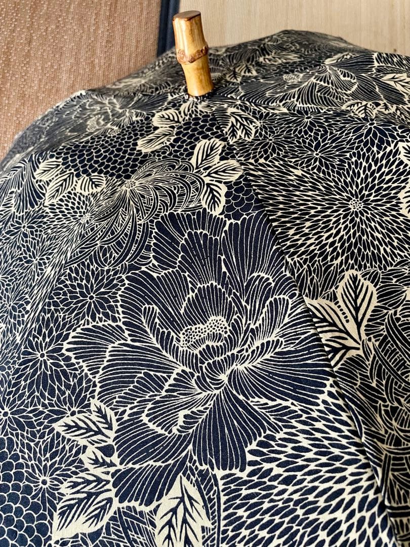 ほ*し様 ツタエノヒガサ　傳tutaee