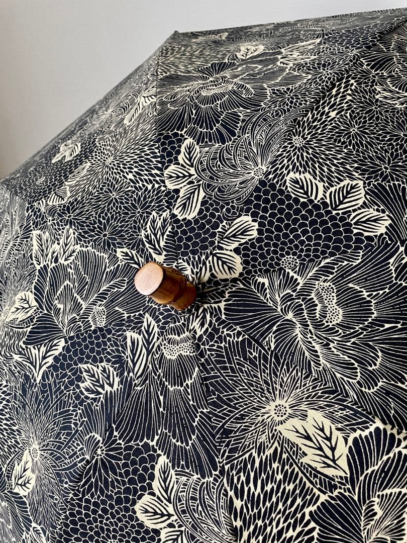 ほ*し様 ツタエノヒガサ　傳tutaee