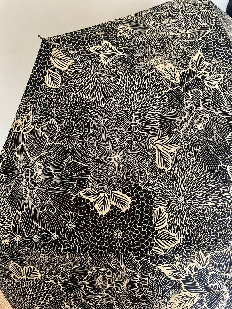 ほ*し様 ツタエノヒガサ　傳tutaee