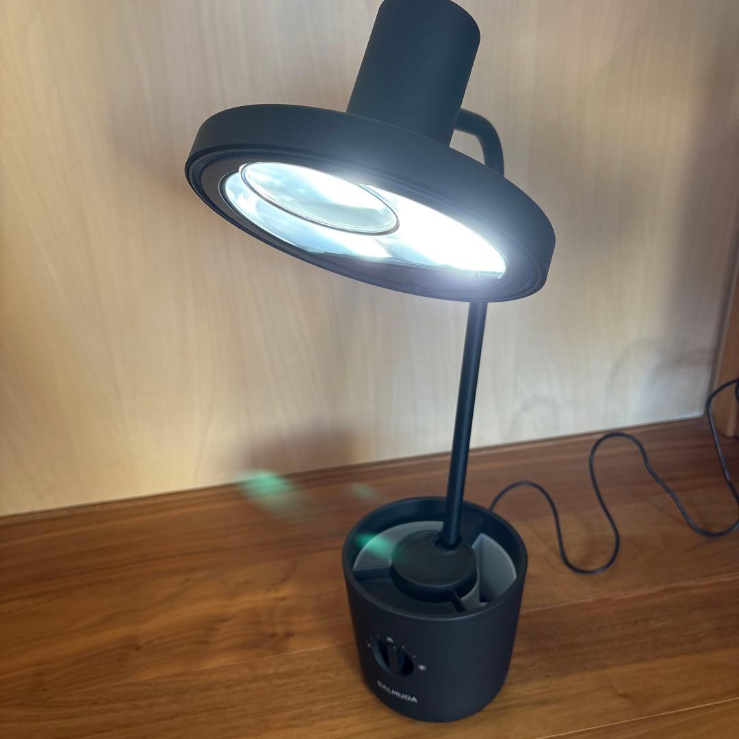 バルミューダ ザ・ライト / ブラック（動作確認済）