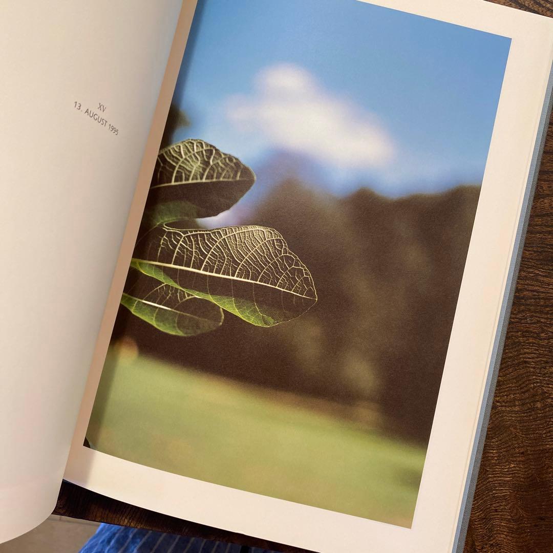 Terri Weifenbach Lana テリ・ワイフェンバック 写真