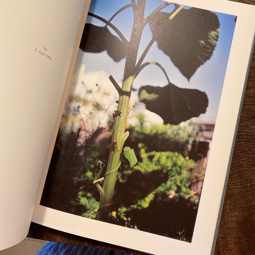 Terri Weifenbach Lana テリ・ワイフェンバック 写真