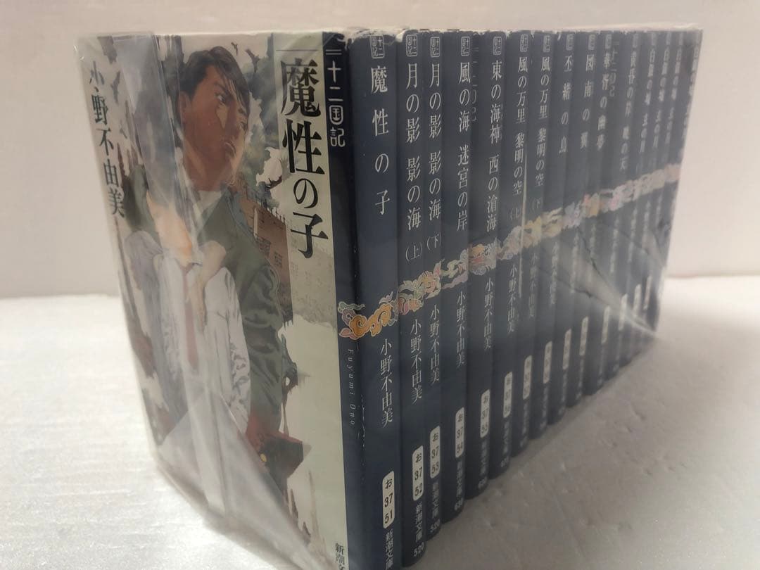 十二国記　全巻セット 白銀の墟 玄の月