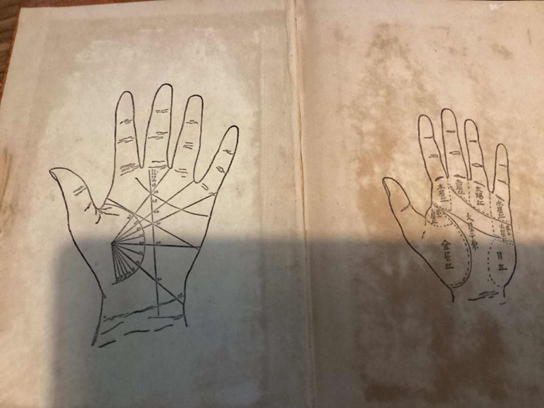 人と人の手 : 手相秘典　キロ 著 中村文聡 訳編