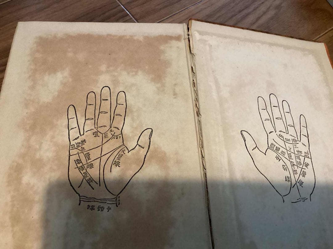 人と人の手 : 手相秘典　キロ 著 中村文聡 訳編