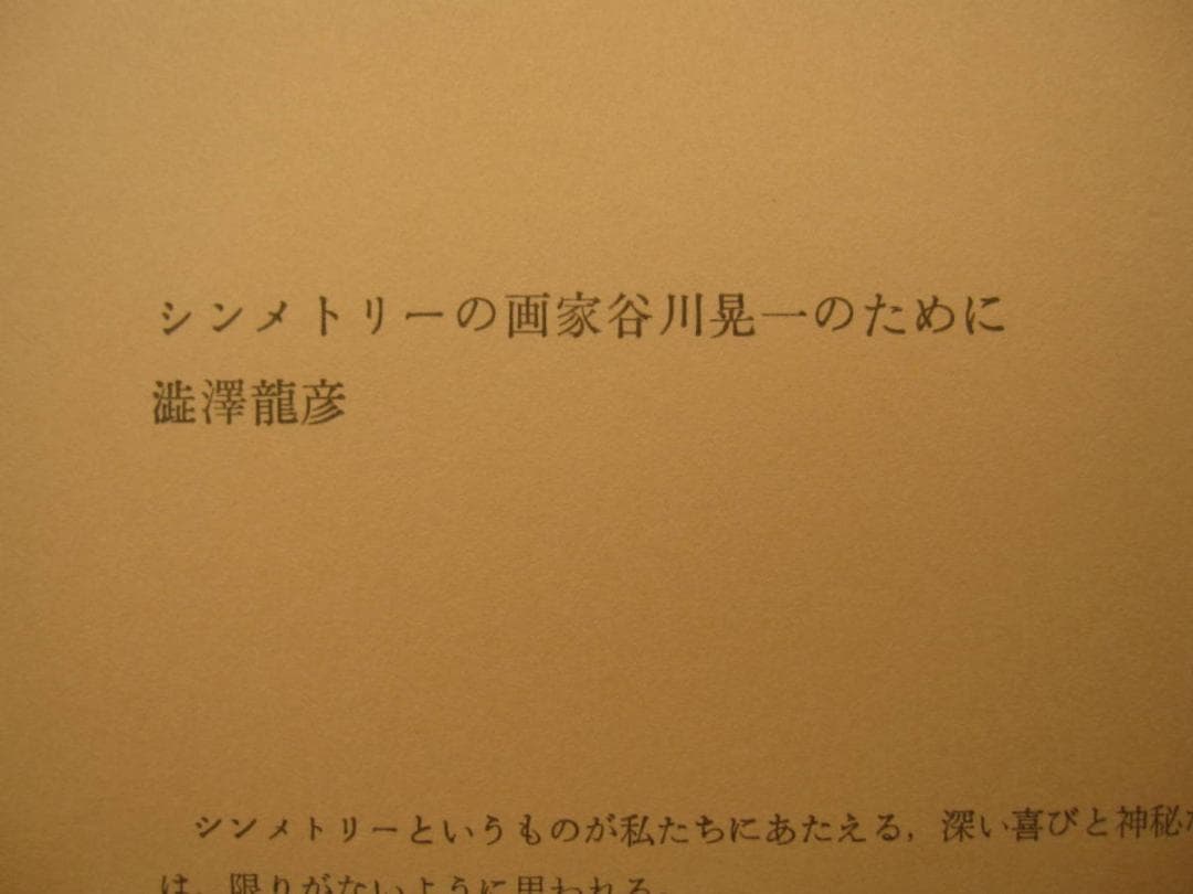 絵次元　谷川晃一　展翅箱　200部限定　肉筆画 一葉付き 直筆サイン　澁澤龍彦