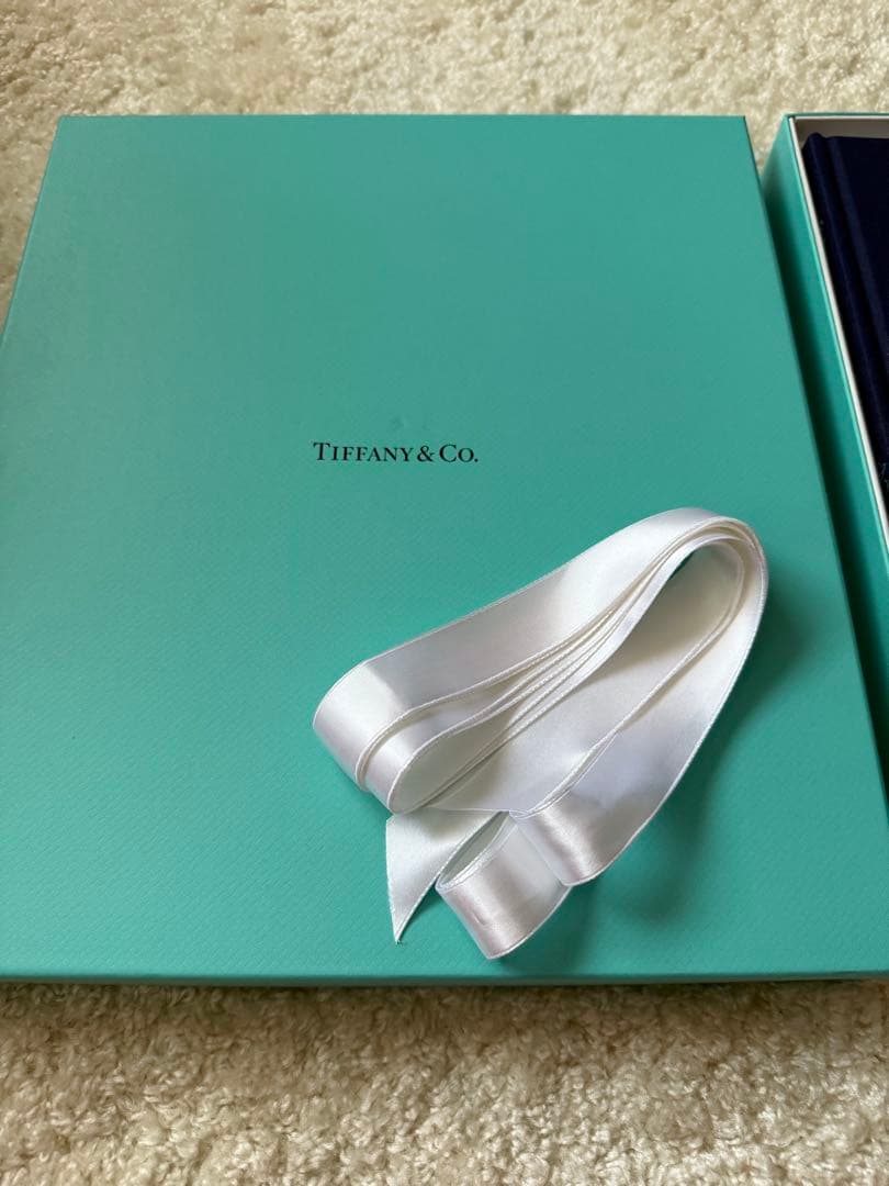 Tiffany & Co. ティファニーワンダーブック2024