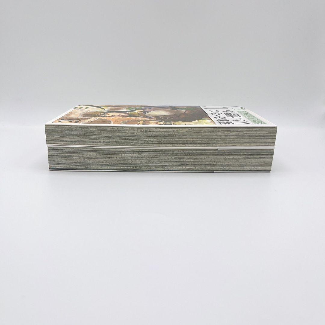 【帯付き・送料無料・美品】イムリ 25、26巻セット 三宅乱丈