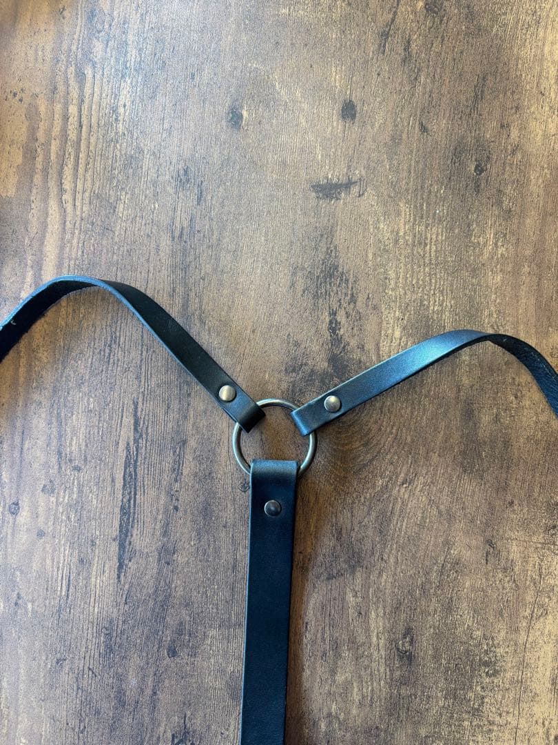 COMME des GARCONS ZANA BAYNE ブラックハーネス