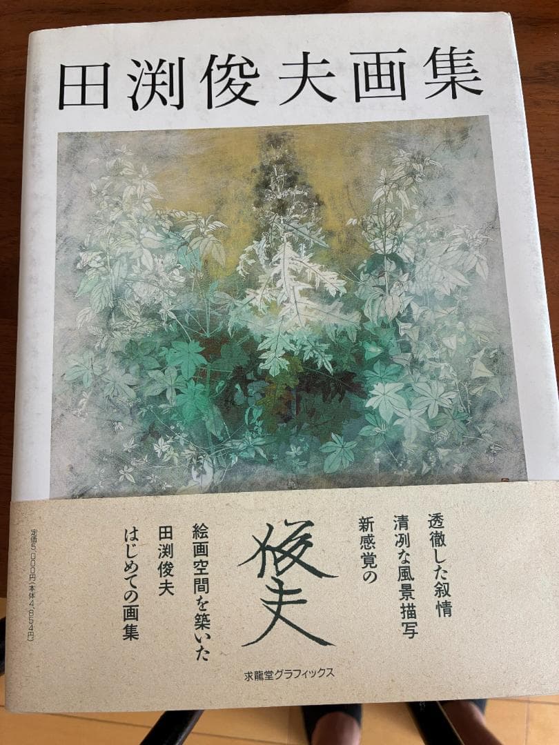 田渕俊夫画集