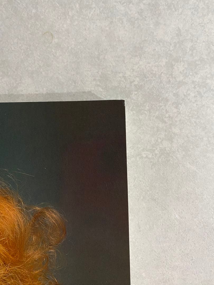 ヴィヴィアンウエストウッドVivienne Westwood関連書籍3冊