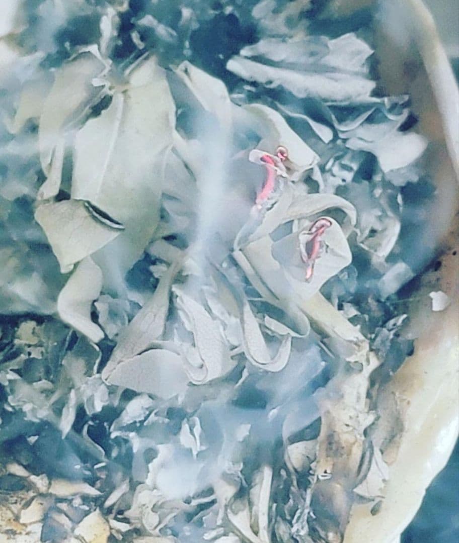 激安価格☆無農薬ホワイトセージ1kg箱入りお香浄化お徳用業務用