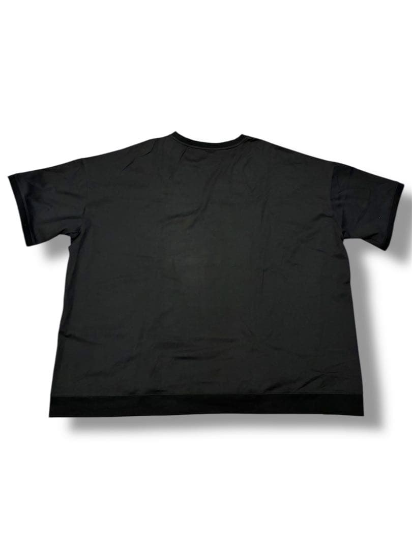 【24AW my beautiful landlet プリントフリーサイズT】