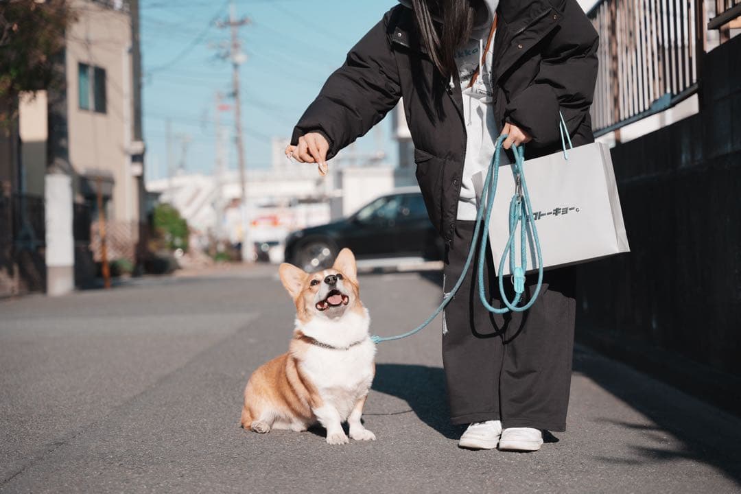 レンズ(単焦点) canon EF 35mm F2 IS