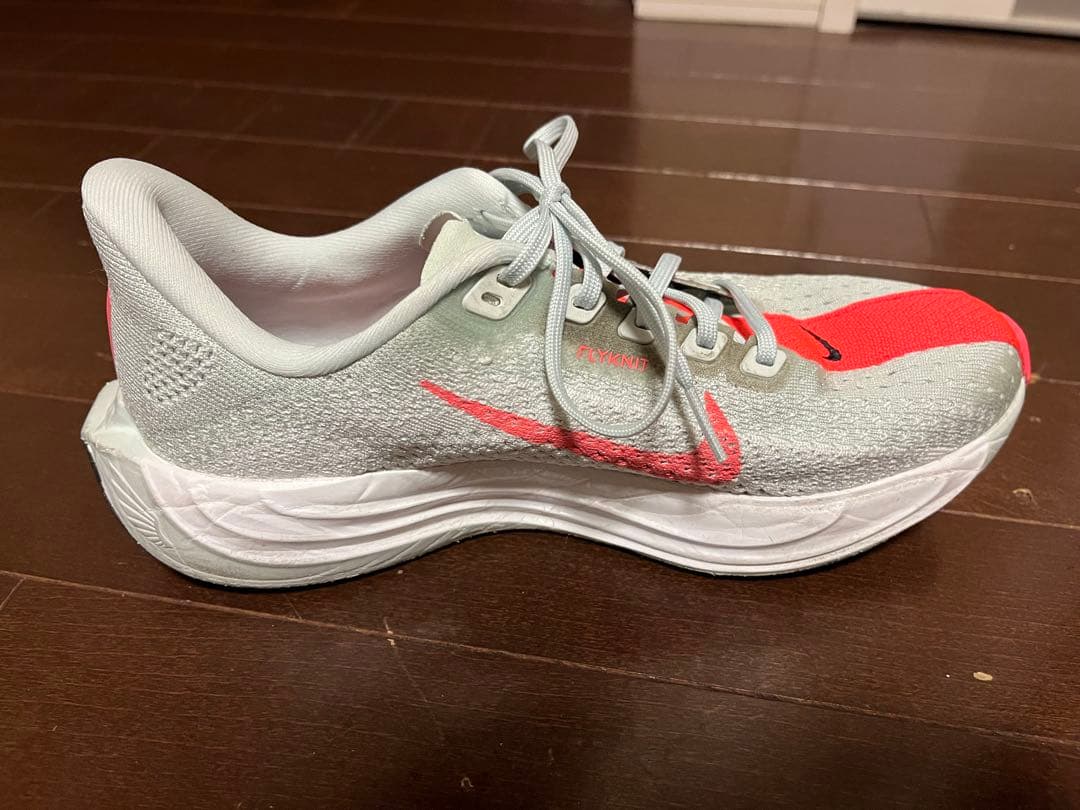 Nike☆ペガサスプラス☆24.5cm☆ナイキ☆zoom x