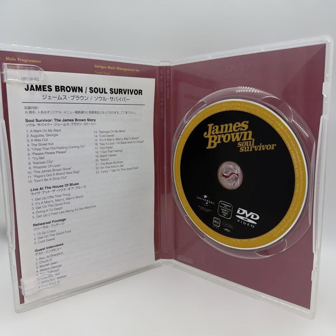 ジェイムス・ブラウン/ソウル・サバイバー　DVD