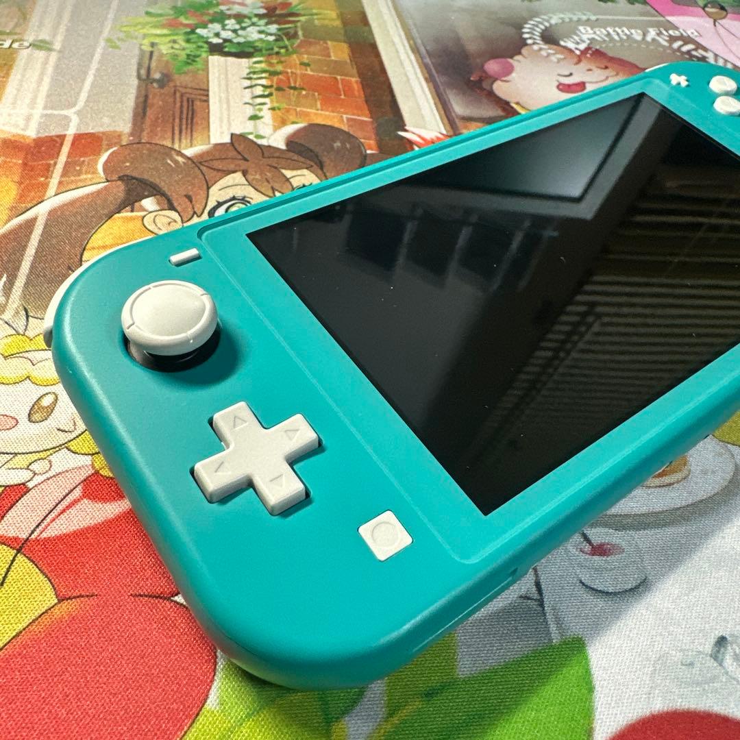 Nintendo Switch Lite 動作確認済み