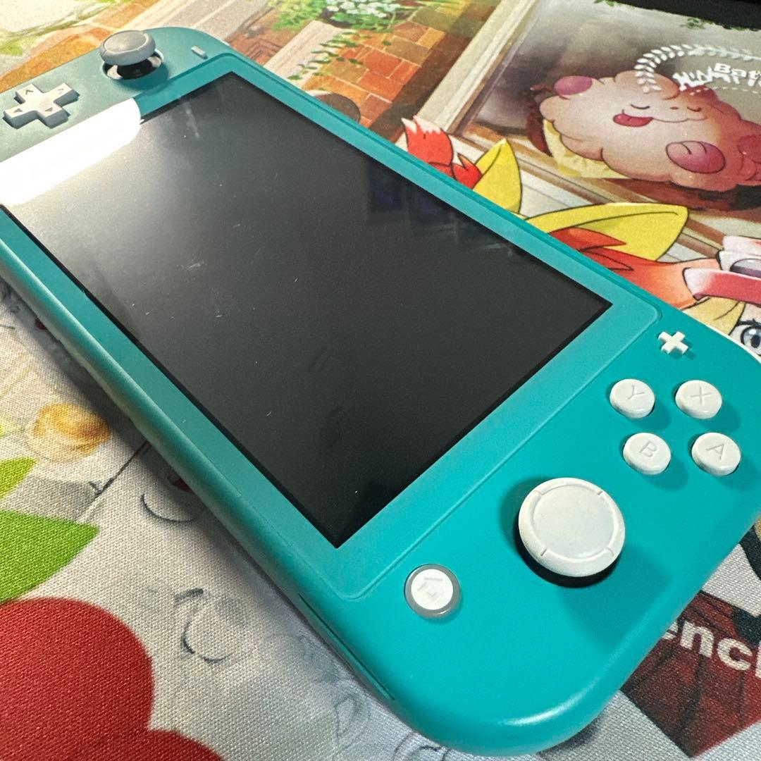 Nintendo Switch Lite 動作確認済み