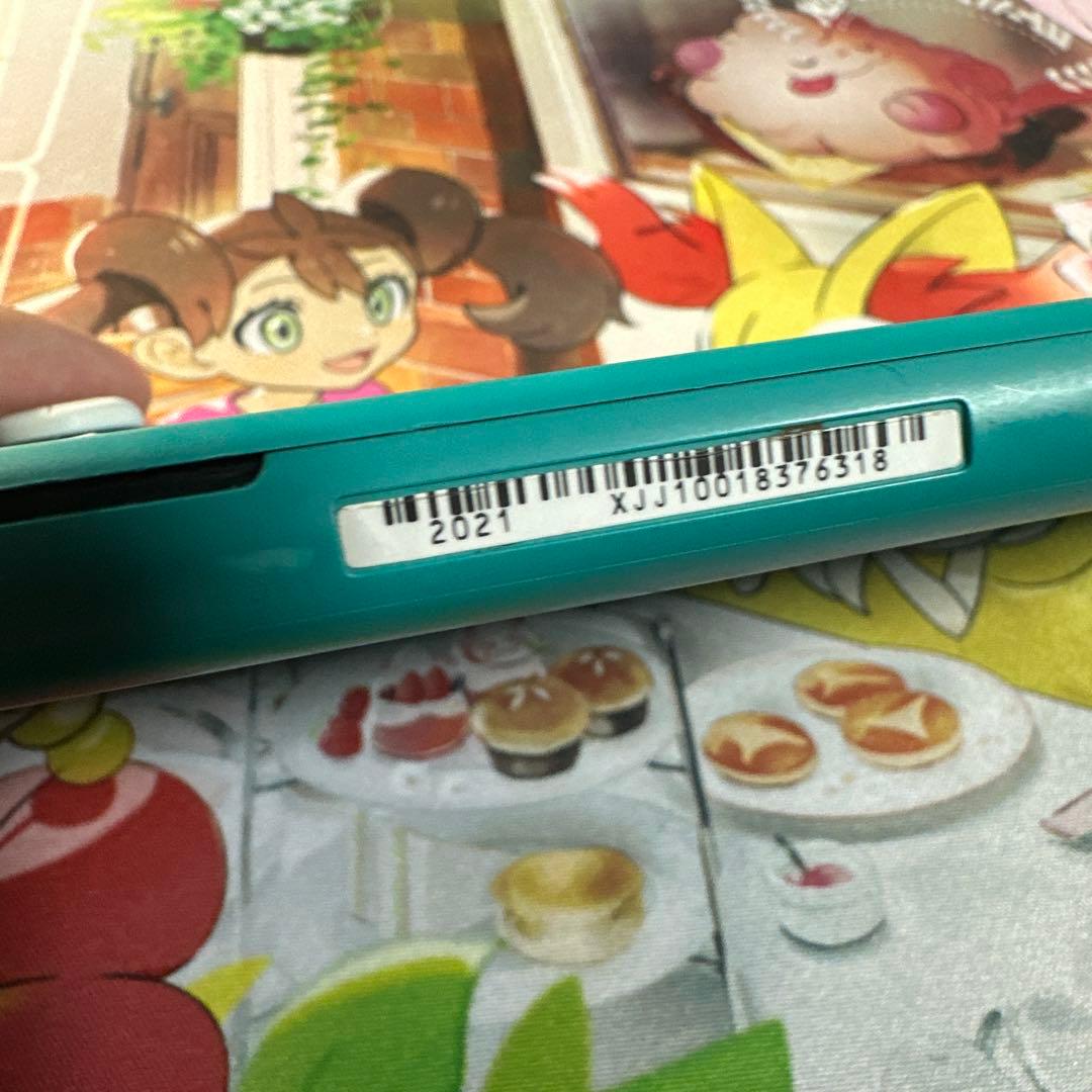 Nintendo Switch Lite 動作確認済み