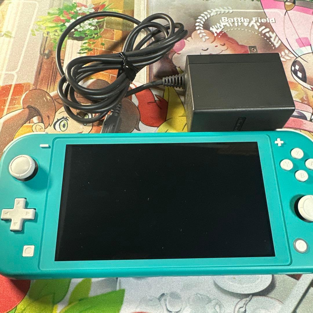 Nintendo Switch Lite 動作確認済み