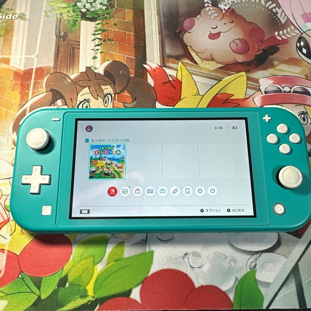 Nintendo Switch Lite 動作確認済み