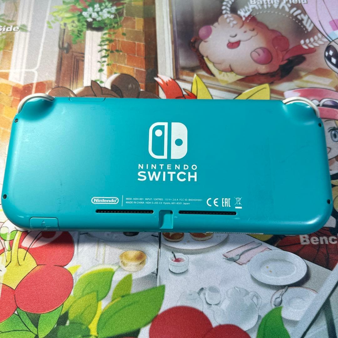 Nintendo Switch Lite 動作確認済み