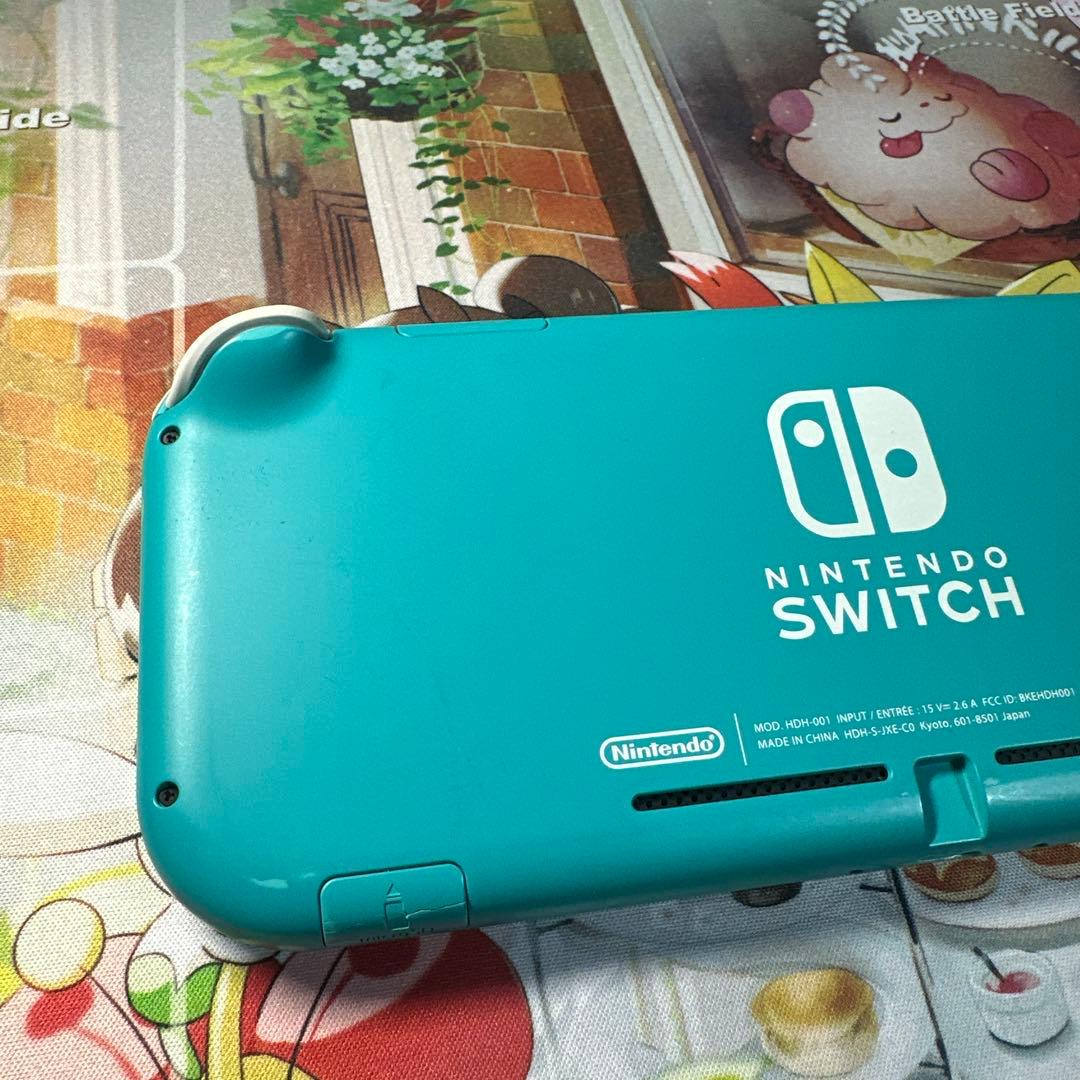 Nintendo Switch Lite 動作確認済み
