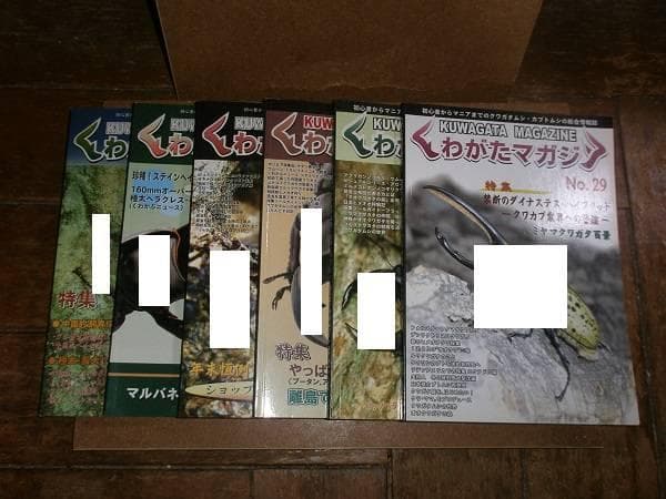 くわがたマガジン 28冊