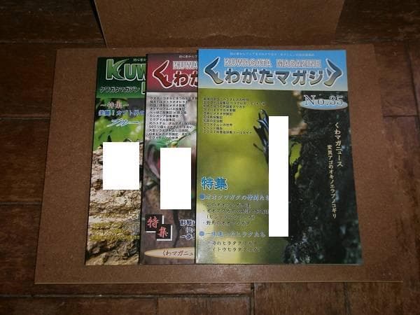 くわがたマガジン 28冊