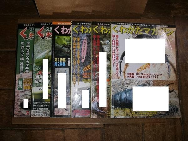 くわがたマガジン 28冊