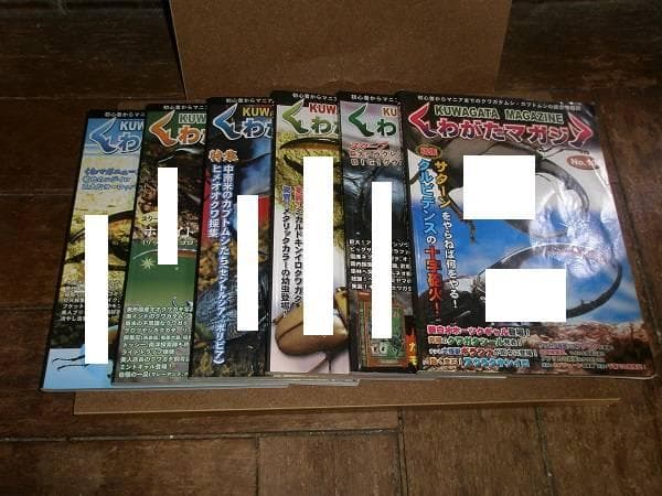 くわがたマガジン 28冊