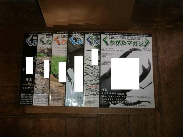 くわがたマガジン 28冊