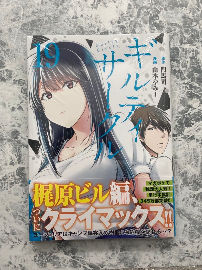 ギルドサークル 全巻セット