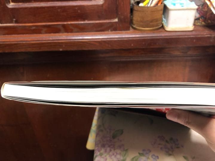 川元利浩 cowboy bebop illustrations〜the wind