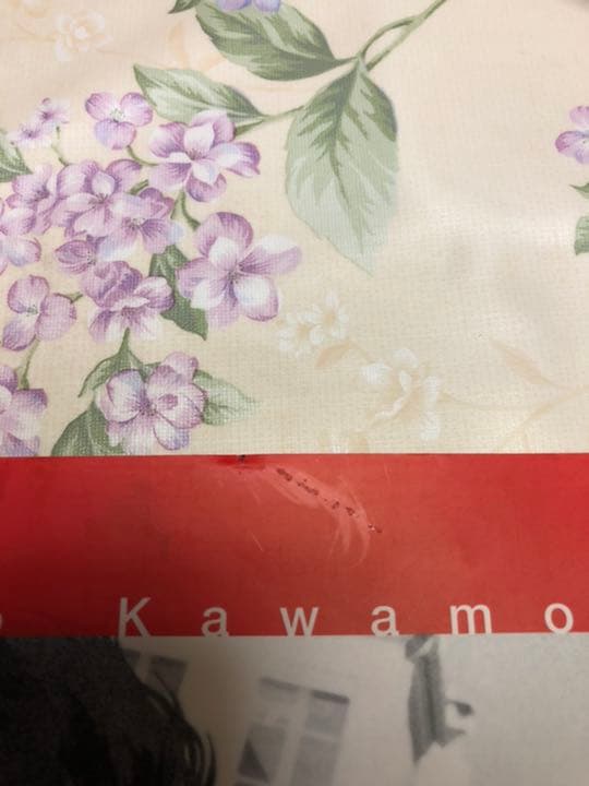 川元利浩 cowboy bebop illustrations〜the wind