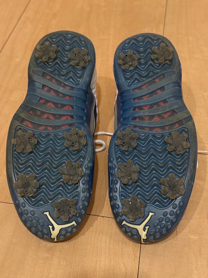 ジョーダンゴルフ AIR JORDAN12 26cm