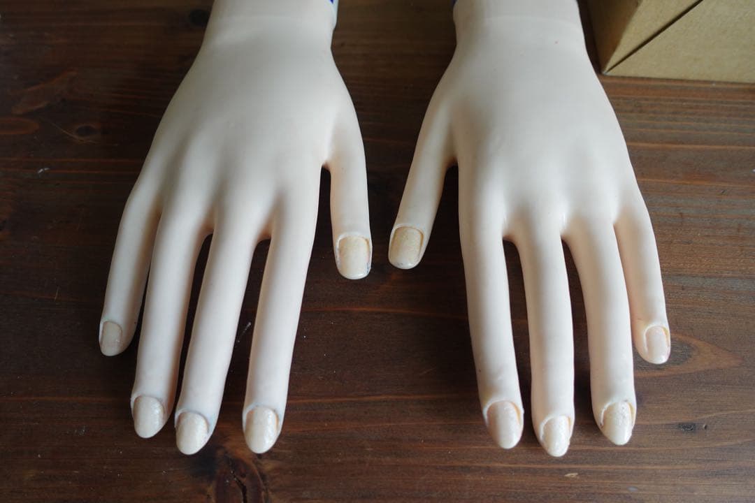 【ネイル検定】認定モデルハンド（使用済・おまけ付き）／箱あり