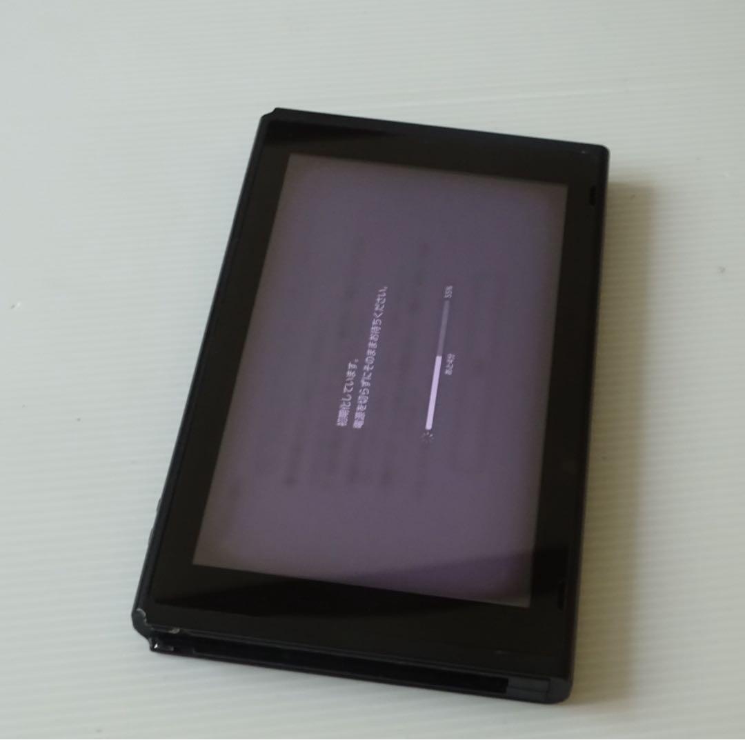 Switch旧型　画面本体のみ　2017年製　未対策機　動作確認済　QA6902