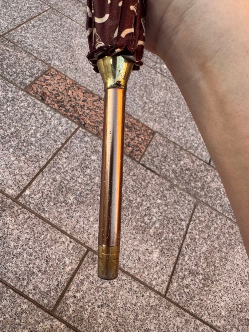 CELINE セリーヌ トリオンフ柄 長傘 91cm