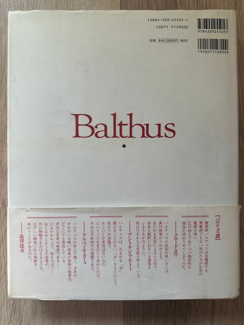 バルテュス 生涯と作品